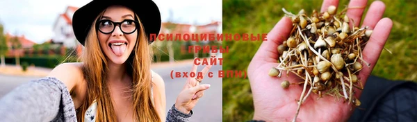 метадон Армянск