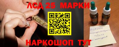 гидра Заволжье