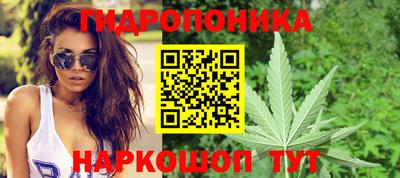 гидра Заволжье