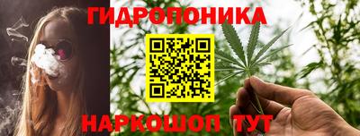 гидра Заволжье