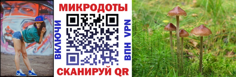 mega сайт  Нарьян-Мар  Псилоцибиновые грибы прущие грибы 