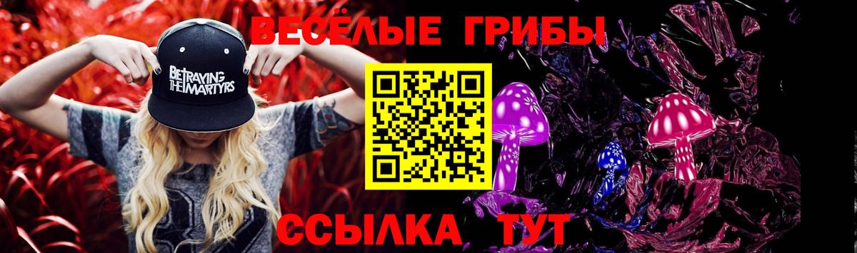 Галлюциногенные грибы Psilocybine cubensis Нарьян-Мар